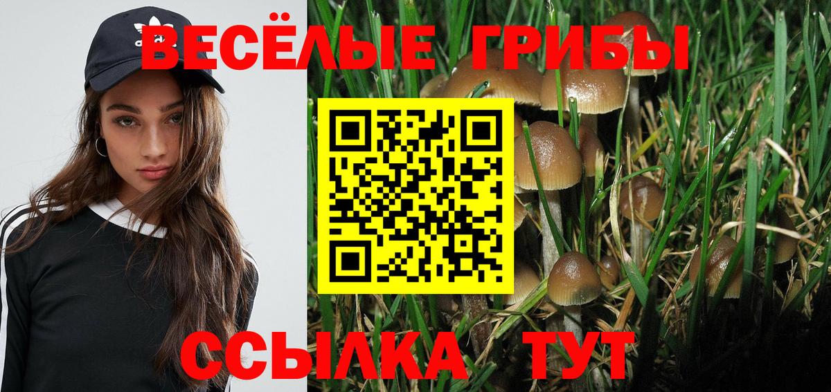 Псилоцибиновые грибы Psilocybine cubensis  Галлюциногенные грибы прущие грибы  Нальчик  Вход с VPN 